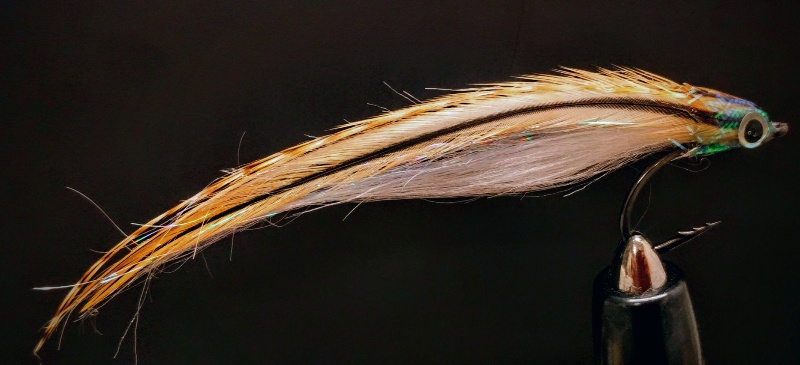 Flatwing Streamer