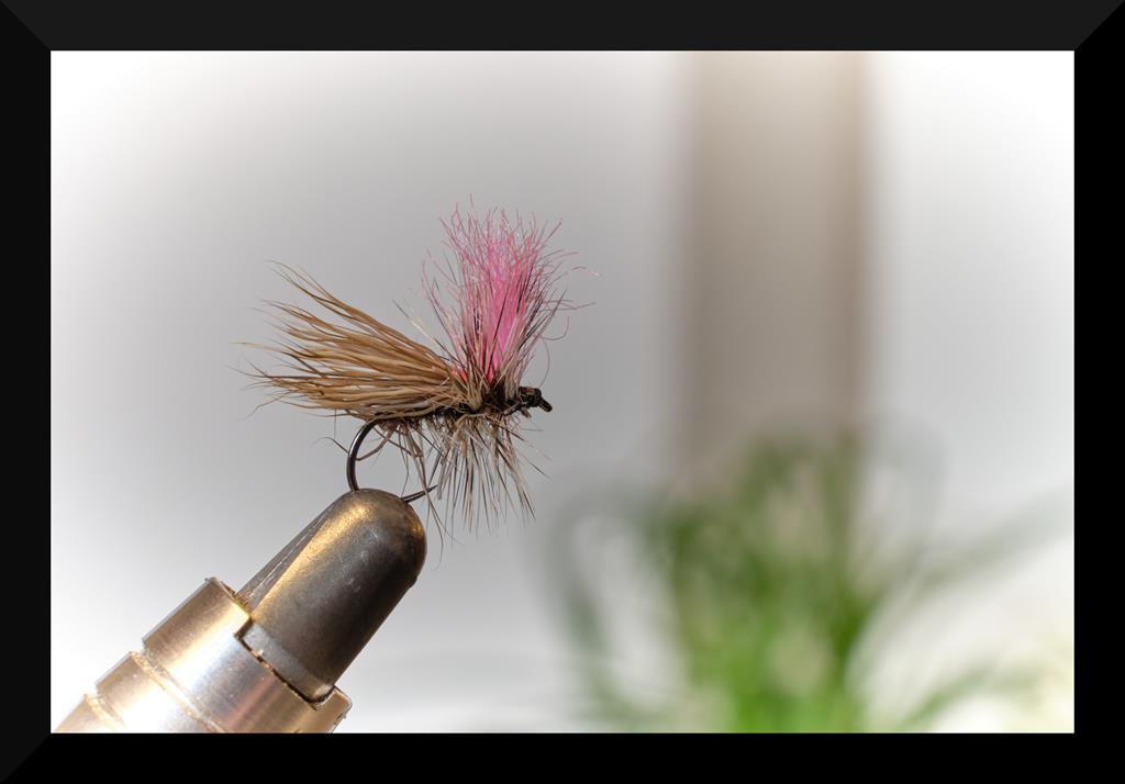 dry flys 10 (Copy).jpg