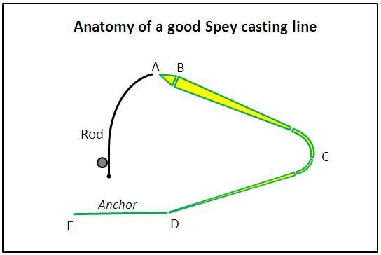 Good Spey Line Anatomy.jpg
