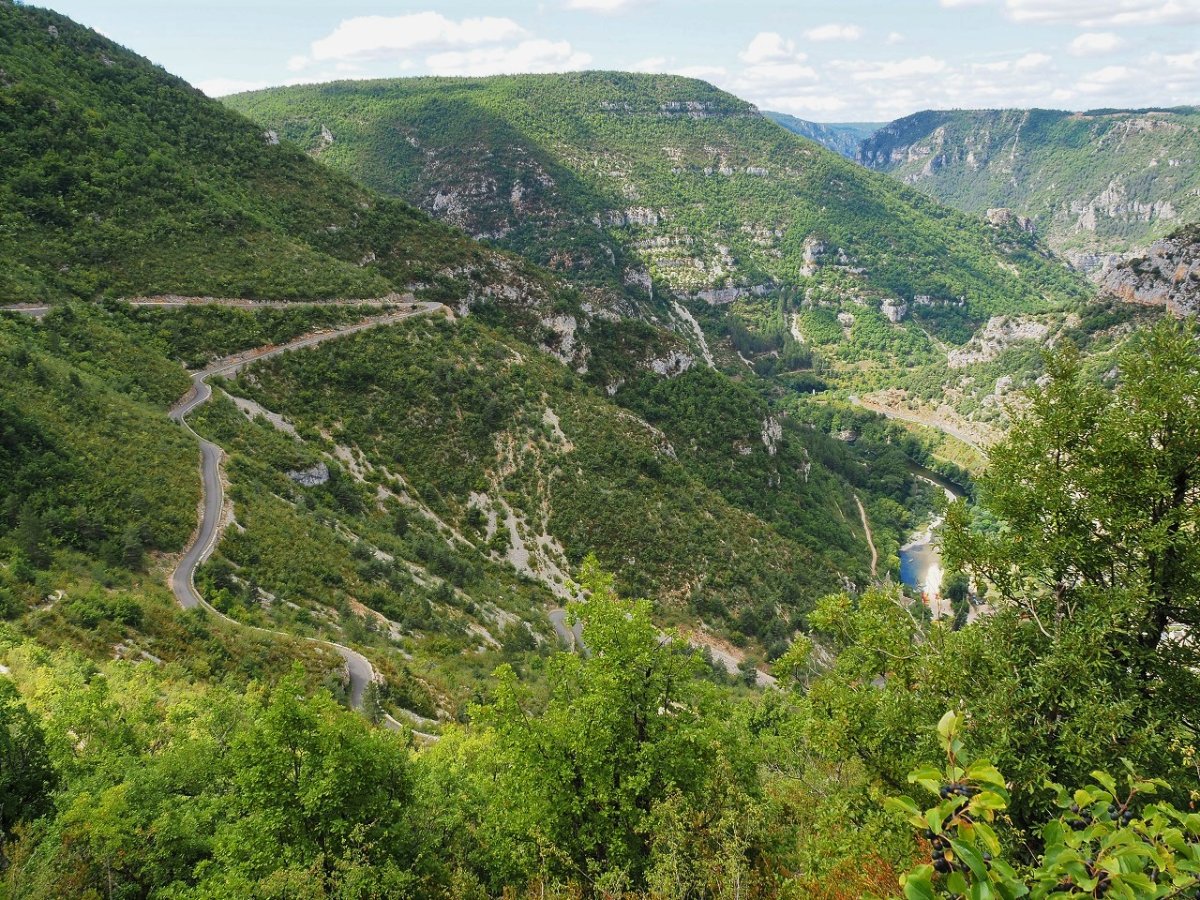 Gorges du Tarn