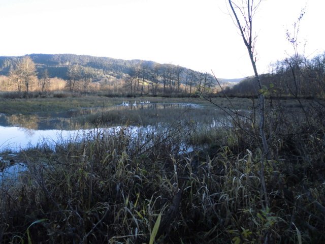 CIMG0665.JPG