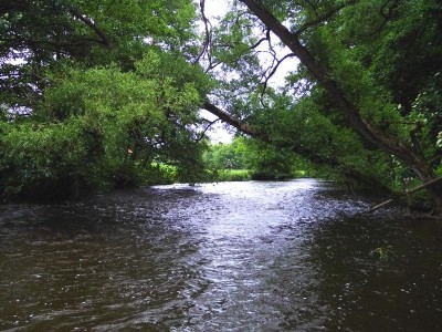 fishandgrill_ (2).JPG