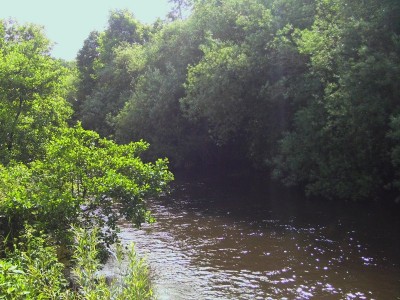 fishandgrill_ (3).JPG