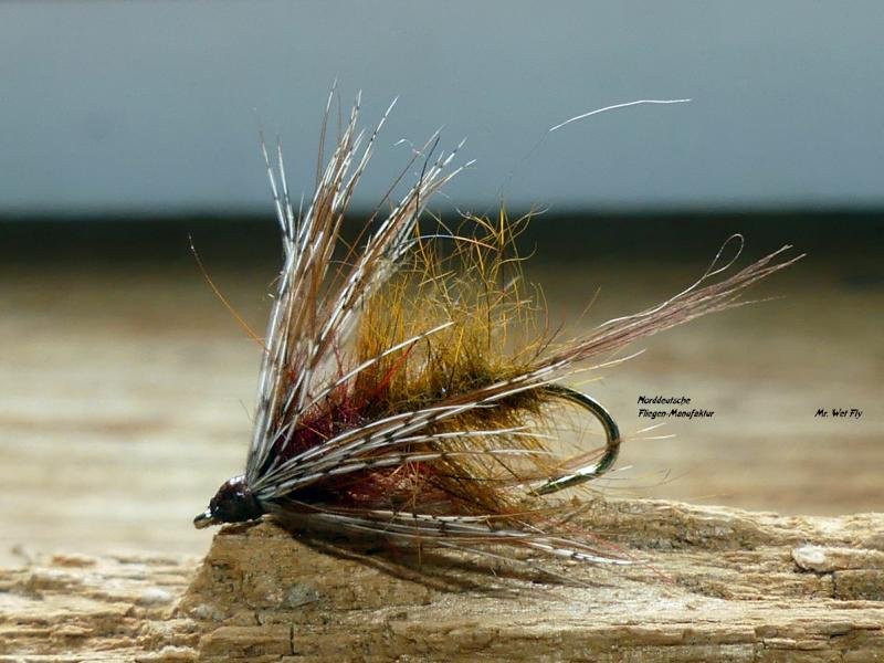 Wet Fly Variationen 230011.JPG