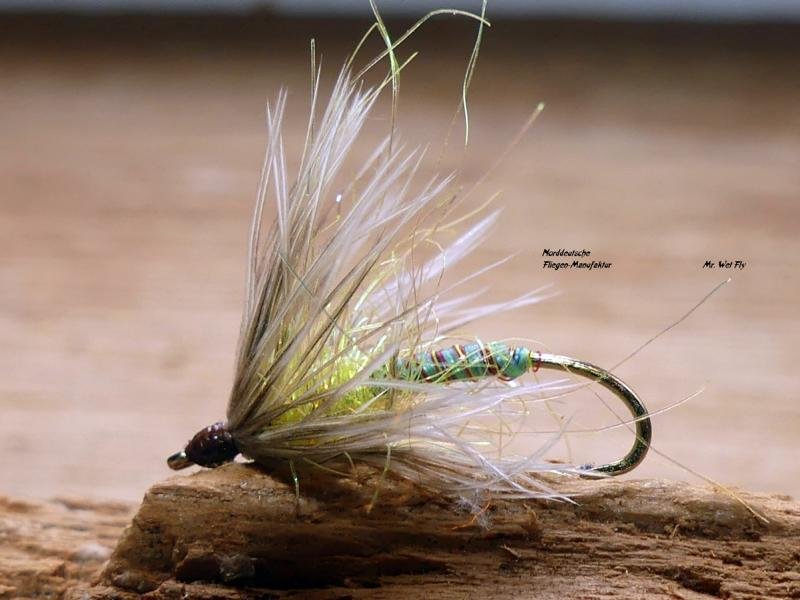 Wet Fly Variationen 230111.JPG