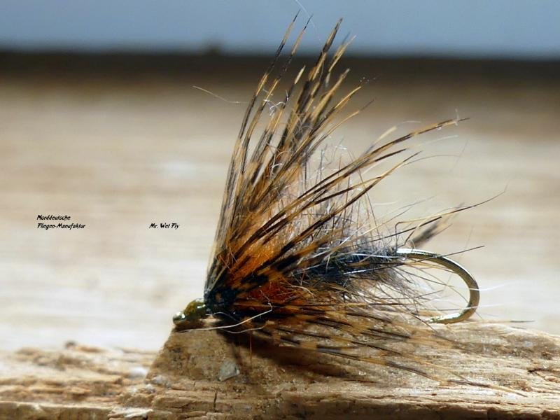 Wet Fly Variationen 230151.JPG