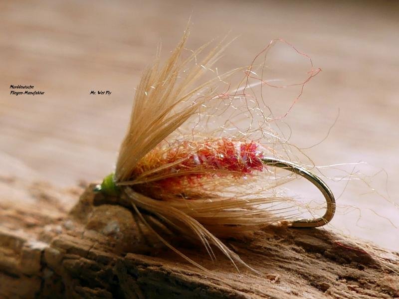 Wet Fly Variationen 230171.JPG