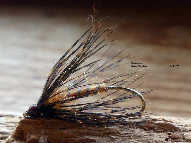 Wet Fly Variationen 230191.JPG