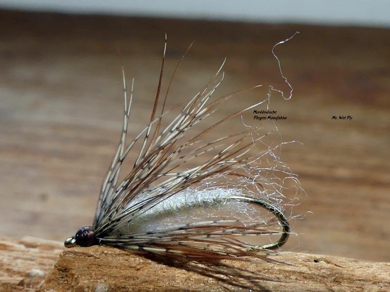 Wet Fly Variationen 230231.JPG