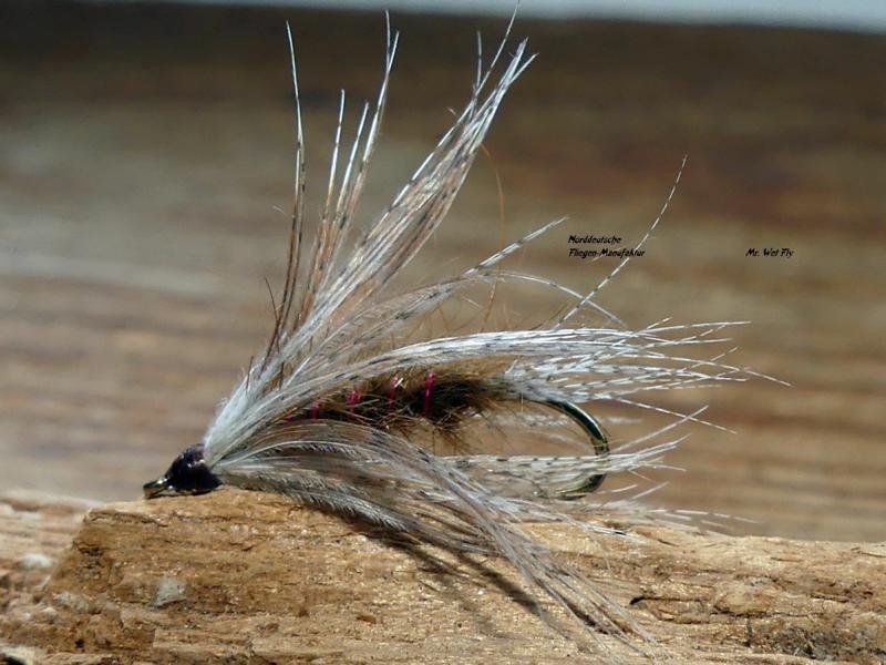 Wet Fly Variationen 230241.JPG