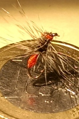 schlechte Hecheln Grizzly