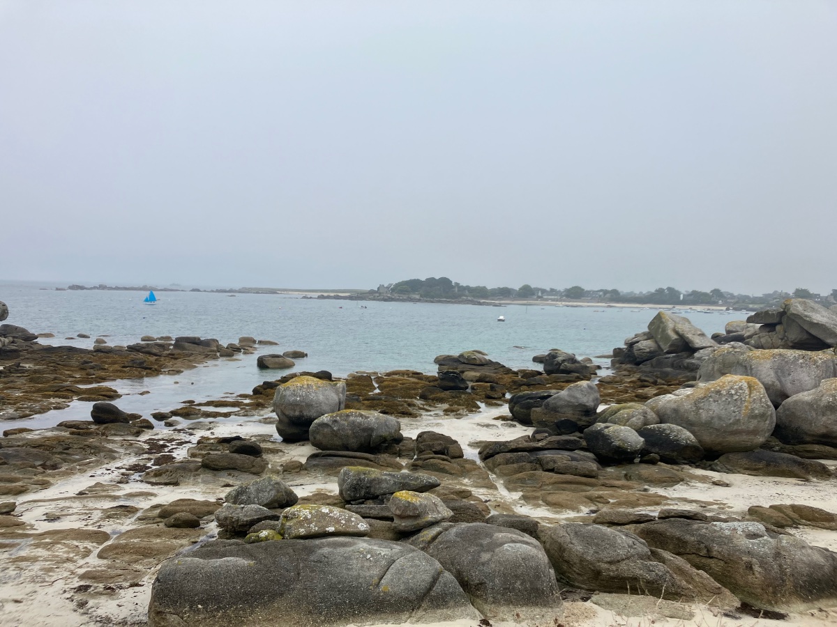 IMG_0804.jpeg