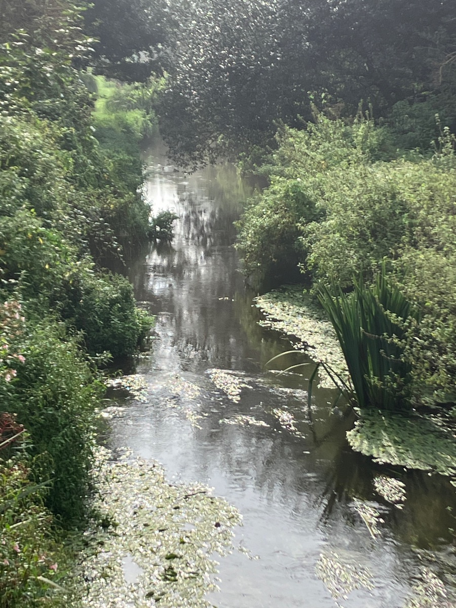 IMG_0894.jpeg