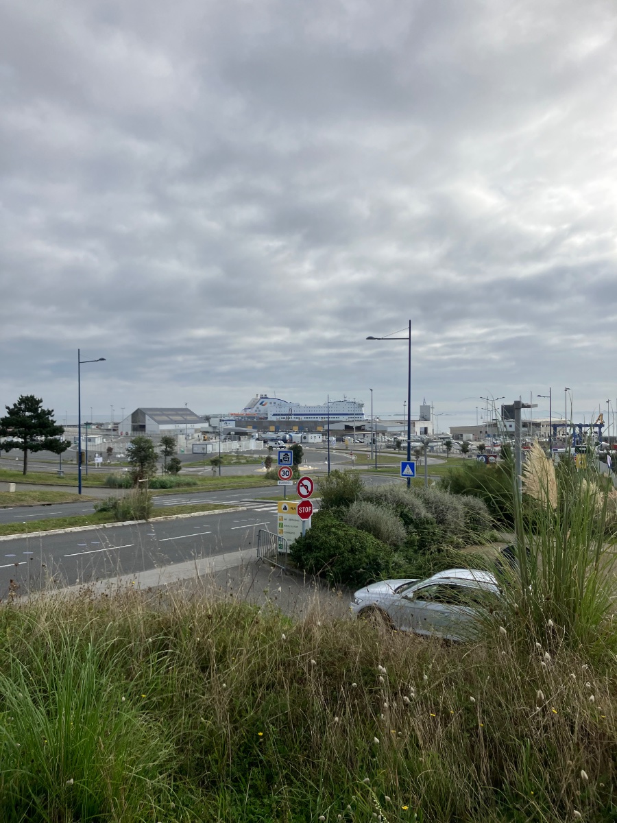 IMG_0911.jpeg
