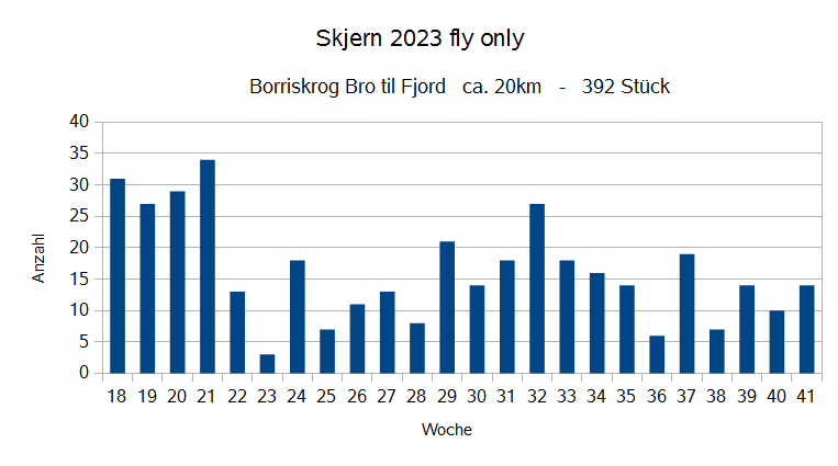 Skjern-2023.png