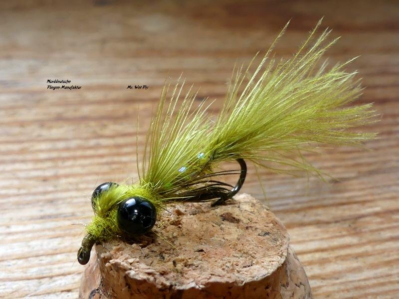 Damsel-Fly (15)1.JPG