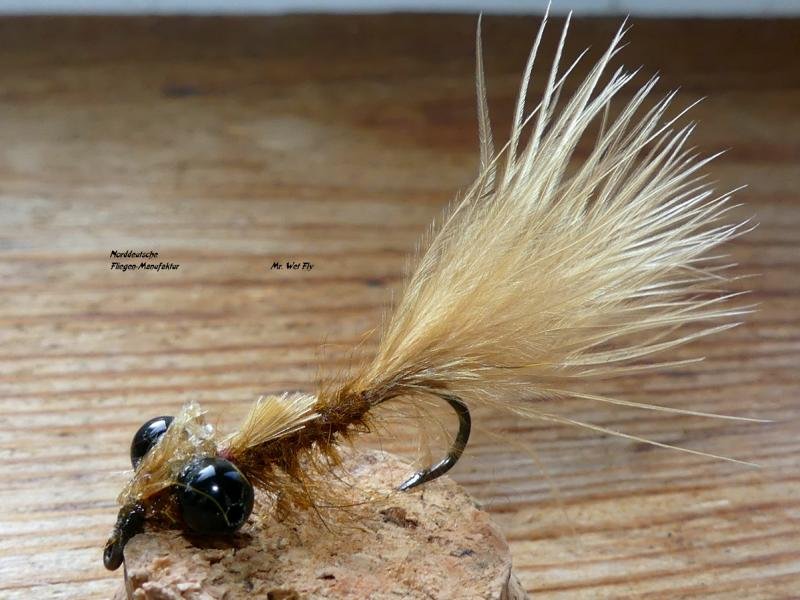 Damsel-Fly (18)1.JPG