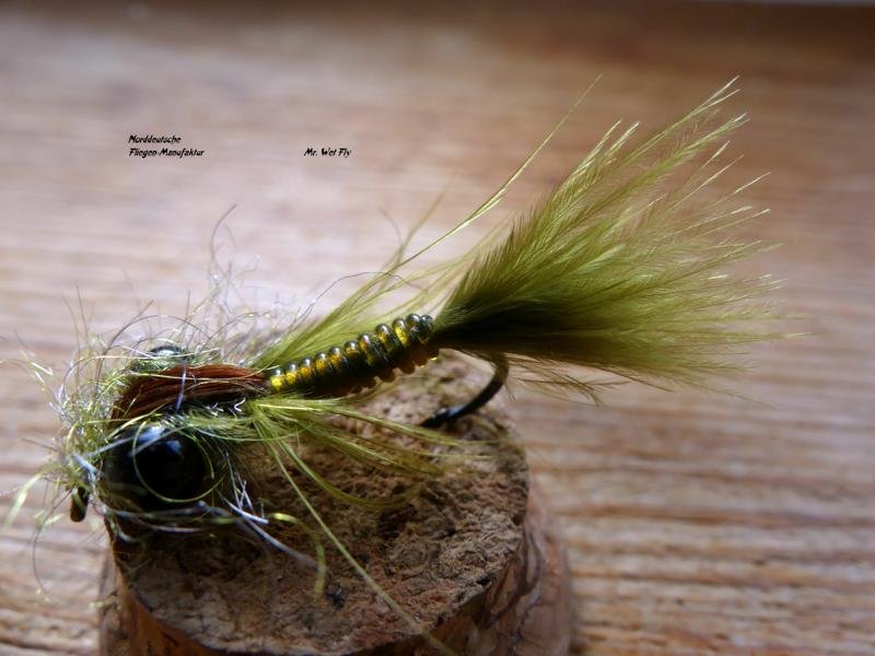 Damsel-Fly (26)1.JPG