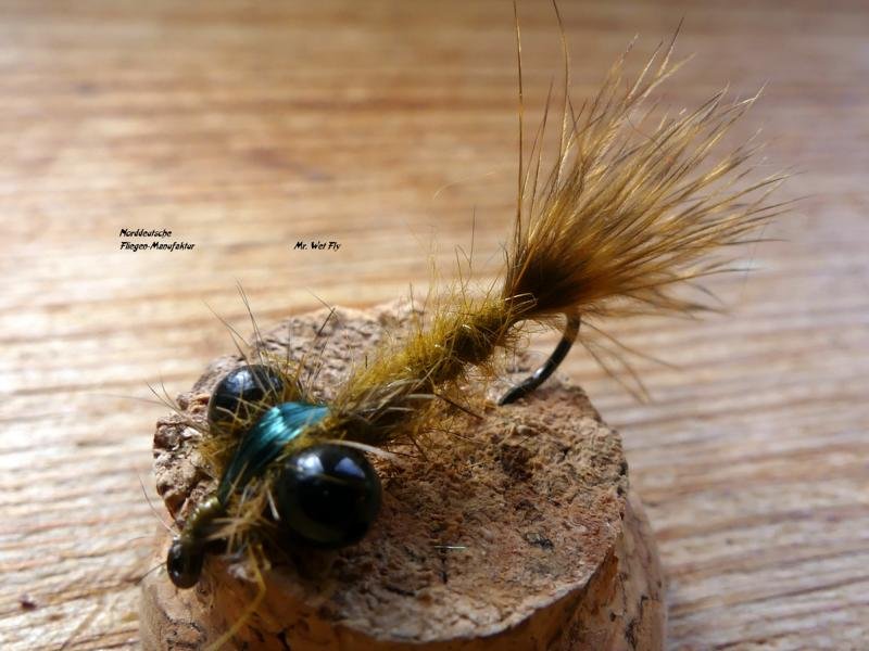 Damsel-Fly (29)1.JPG