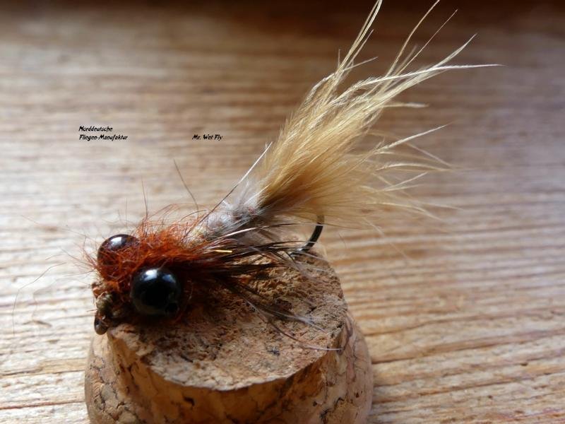 Damsel-Fly (30)1.JPG