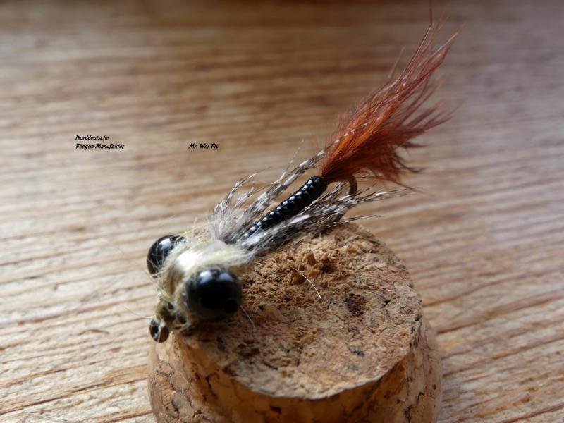 Damsel-Fly (32)1.JPG