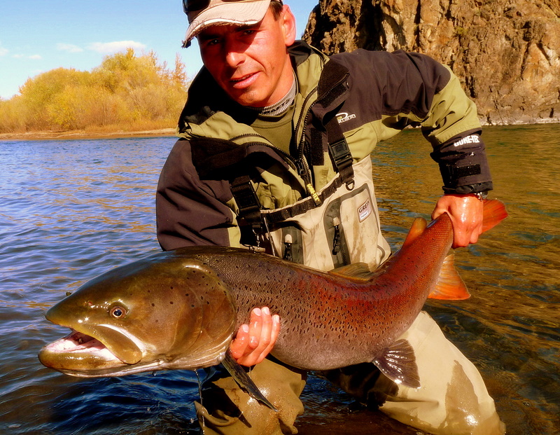 Typischer Taimen aus dem Selenge, Camp Rashant 2010