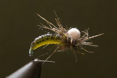 DSC_9336 [800x600].jpg