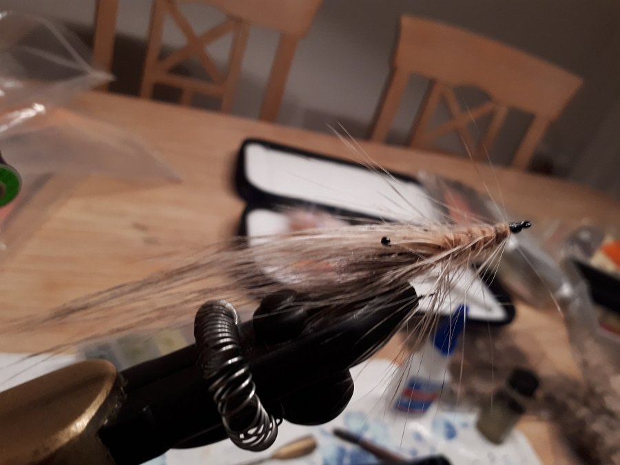 Die Erfolgsfliege.jpg