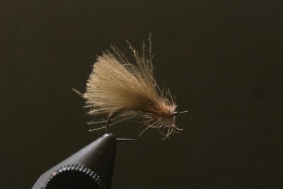 DSC_9347 [800x600].jpg