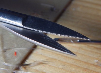 DSCN1425_2_1.JPG