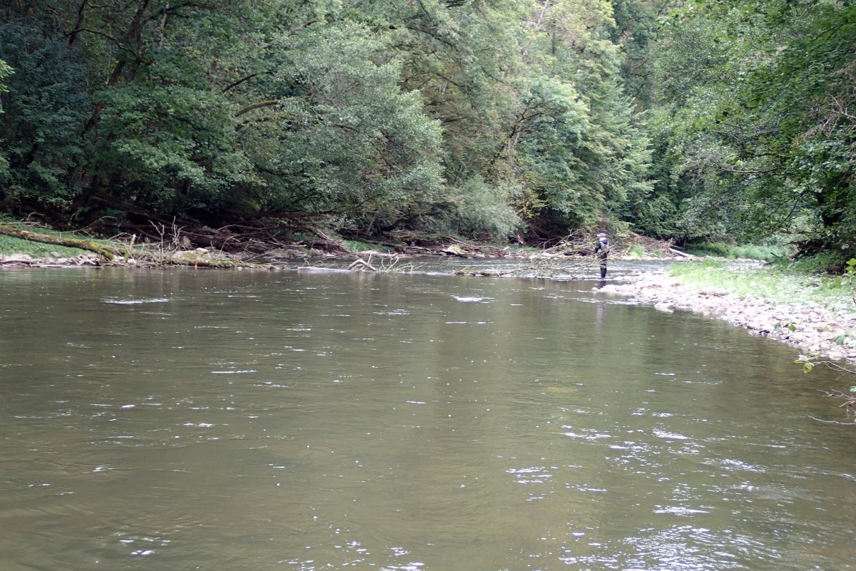 P9141665.JPG