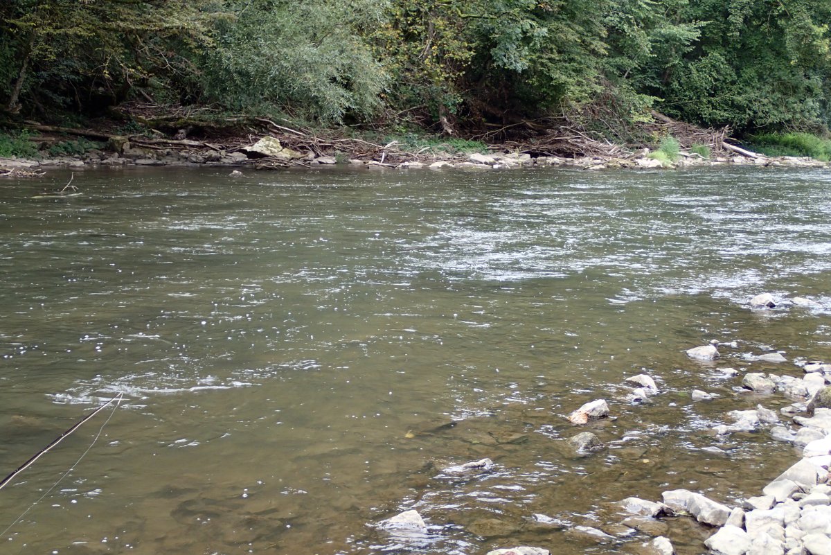 P9141667.JPG