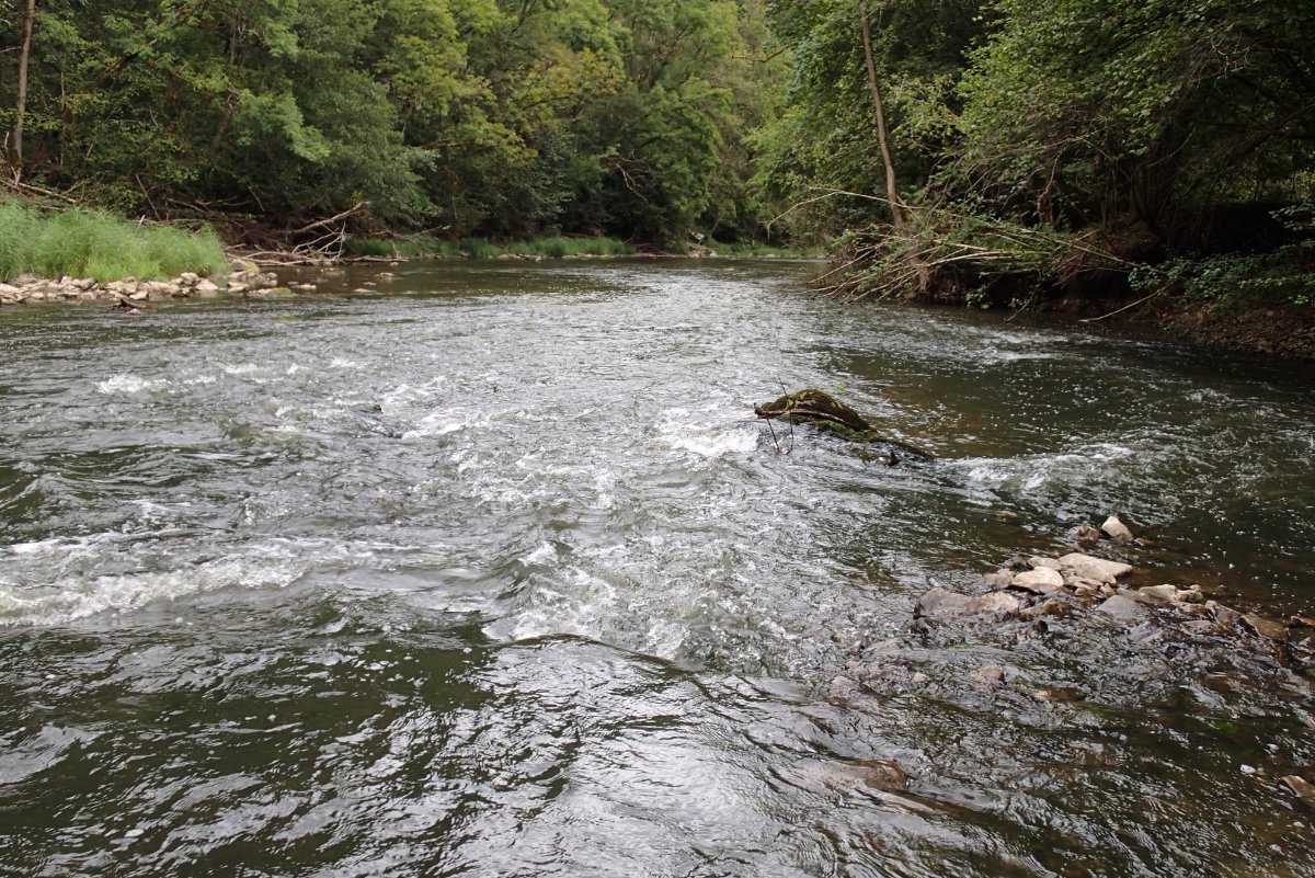 P9141669.JPG