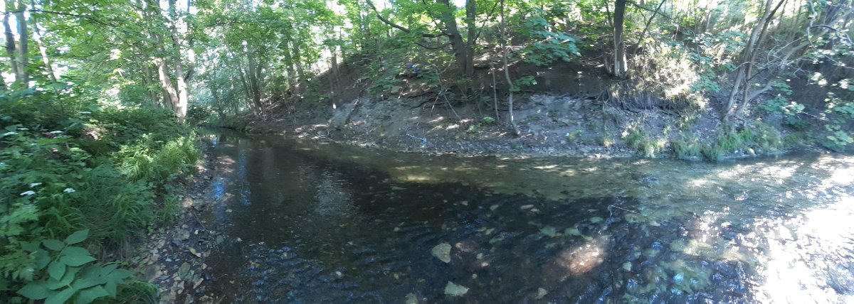 20210616_173643.jpg