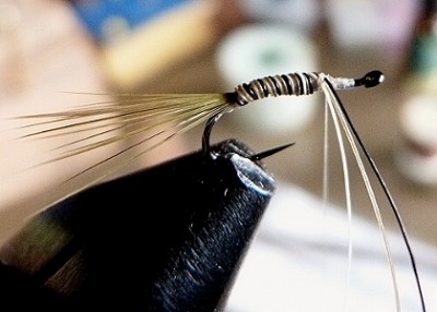 rosshaar binden 1.jpg