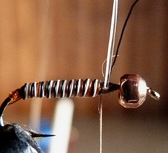 rosshaar binden 2.jpg