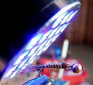 rosshaar binden3.jpg