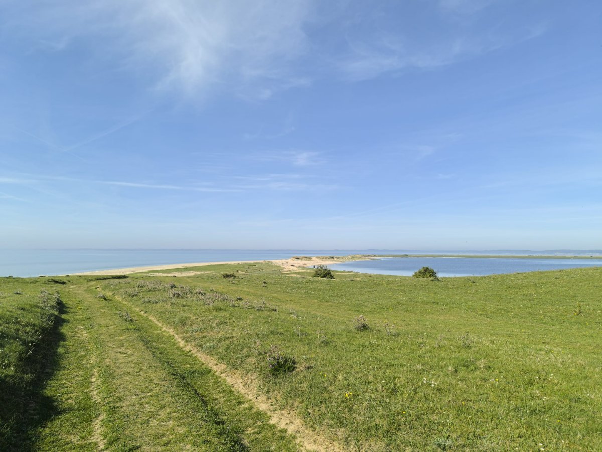 IMG-20250501-WA0040.jpg