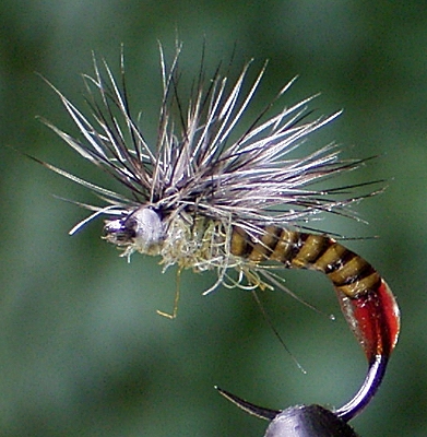 Mueckenpuppe Paraloop.jpg