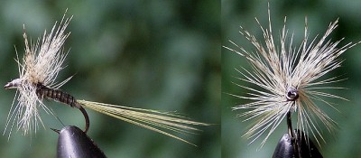 Ross & Mallard Wing #18.jpg