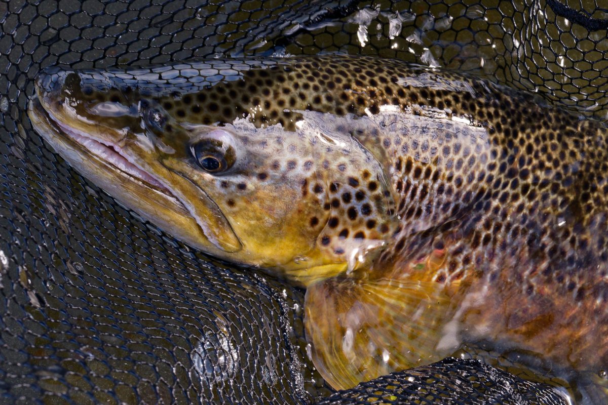 Island 2025 Bild 42.jpg