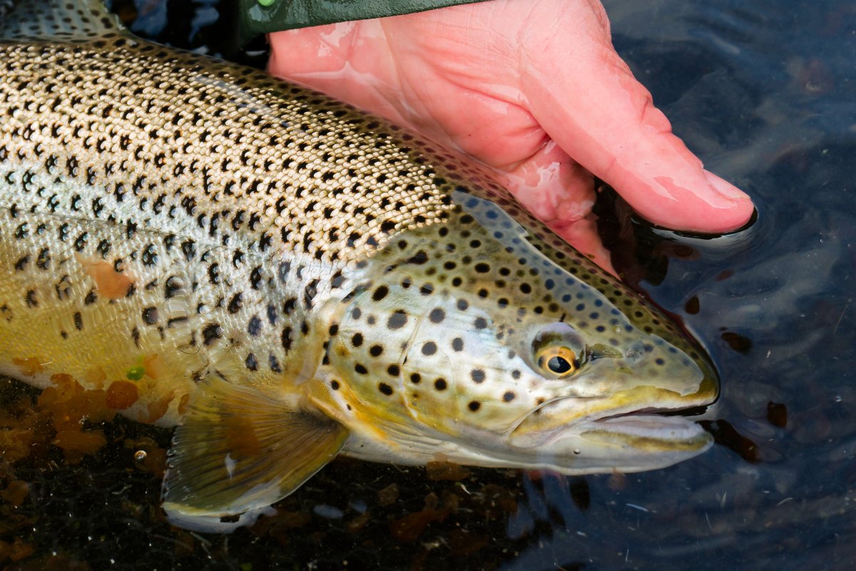 Island 2025 Bild 95.jpg