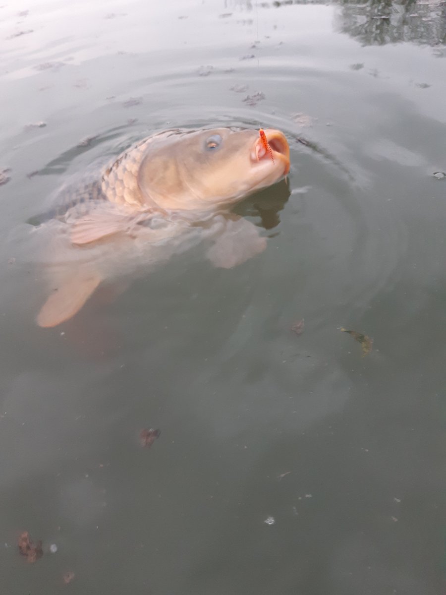 20260301_171836.jpg