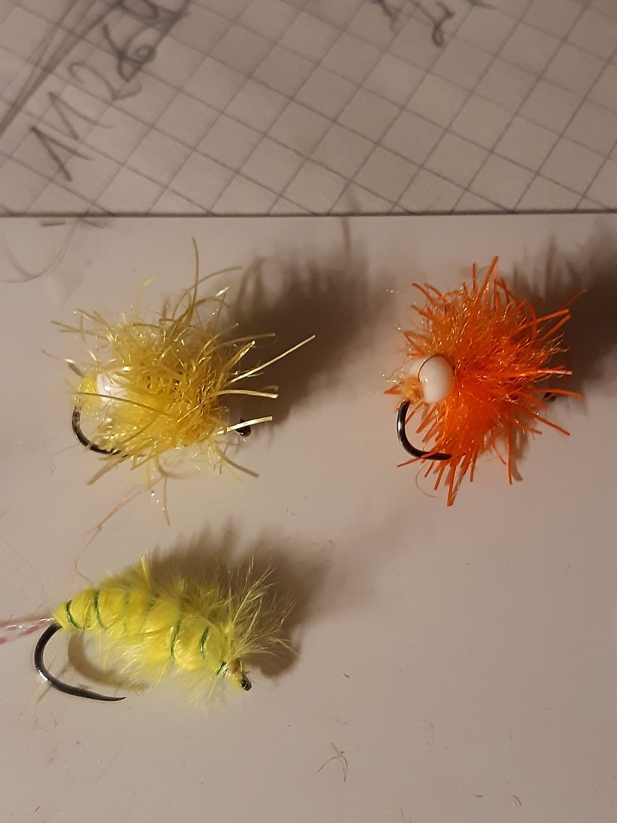 20260303_181329.jpg