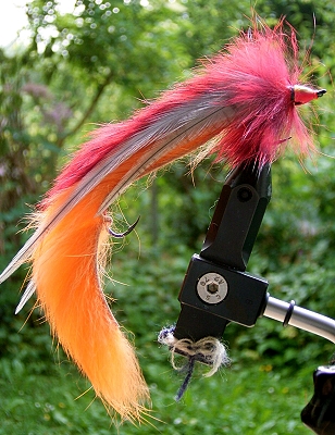 Tandem_BunnyRotOrange.jpg