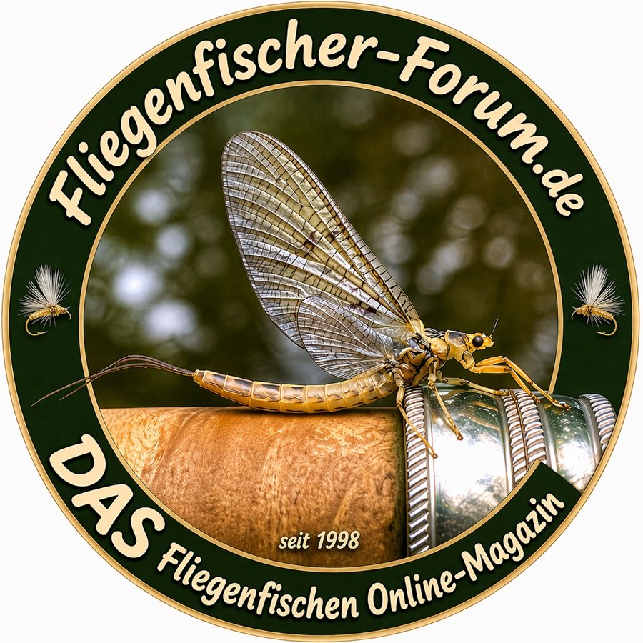 fffsticker2026.jpg