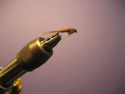 Pheasant Tail Variante