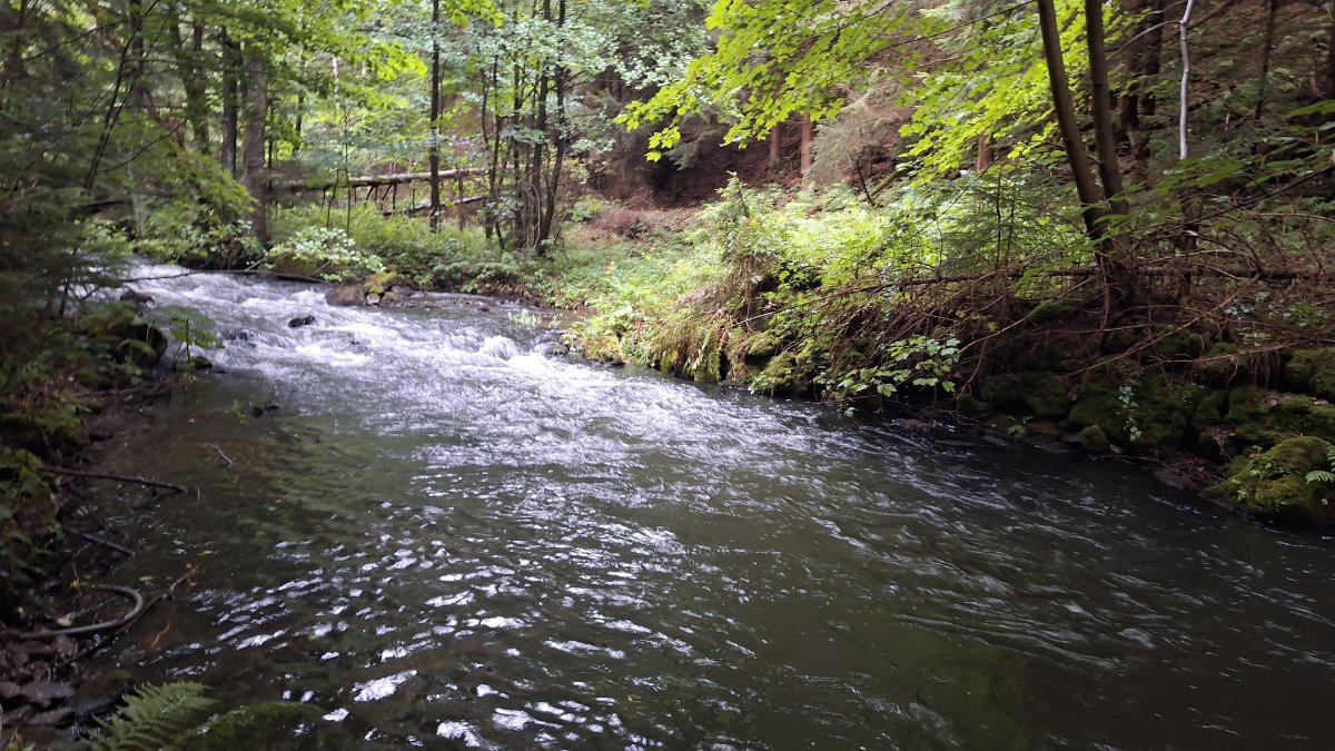20260818_181340.jpg