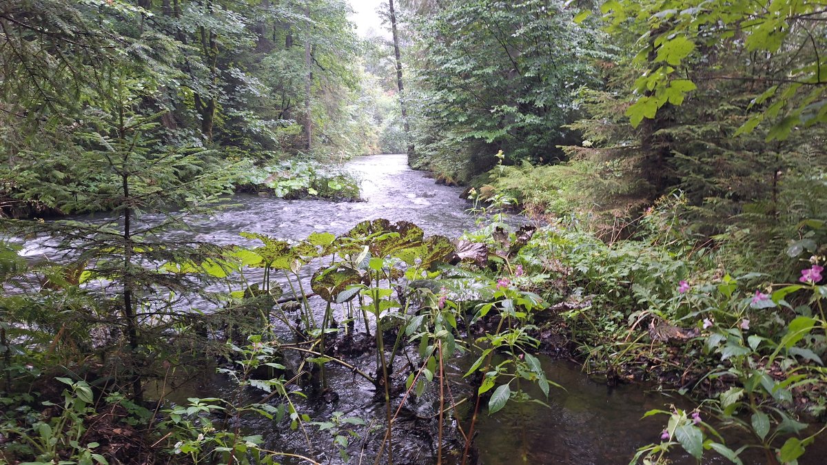20260818_182448.jpg