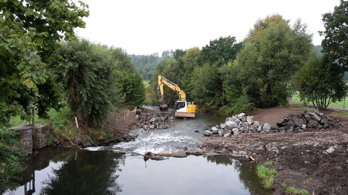 20260902_104409.jpg